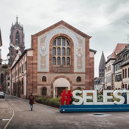 Confortable Appartement Au Centre De Selestat *