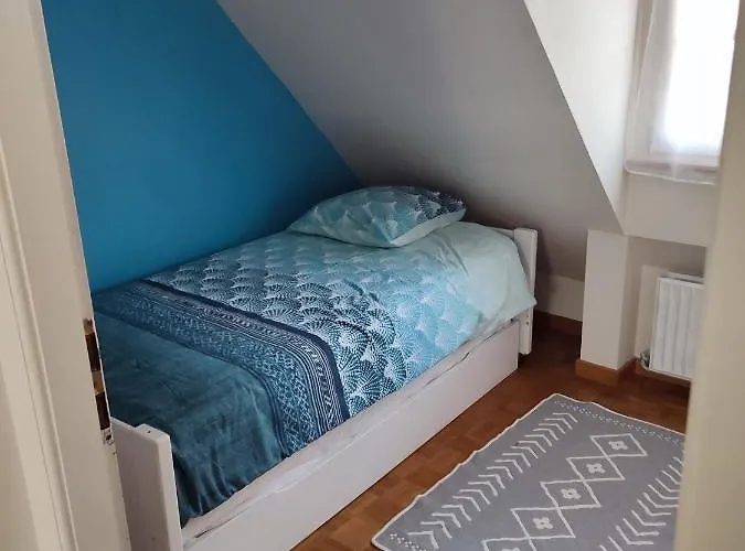 Confortable Au Centre De Lägenhet Sélestat